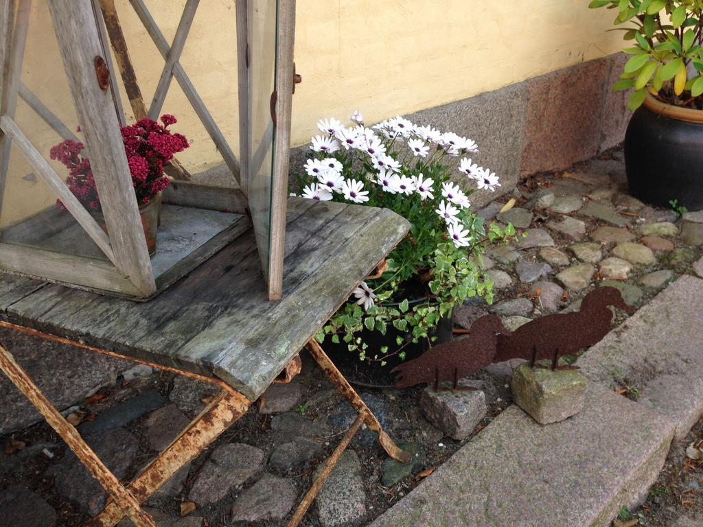 Frühstückspension Birkende Langeskov